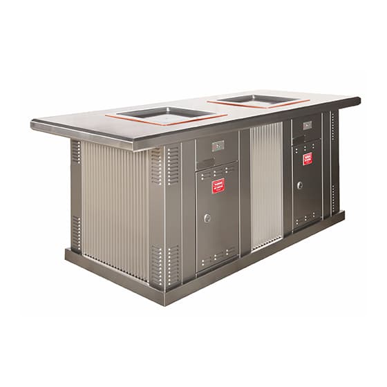 ECO-i Double Stainless Steel Cabinet with Extended Top